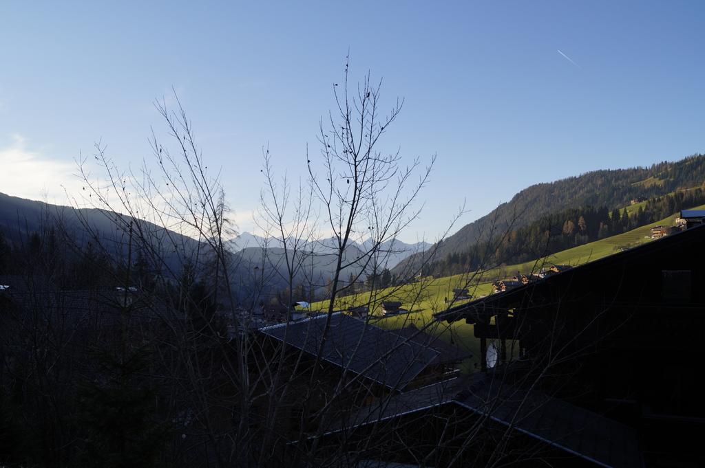 Hanslerfeld Alpbach Camera foto