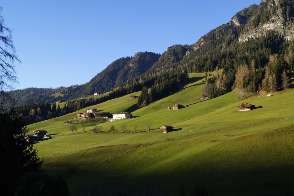 Hanslerfeld Alpbach Camera foto