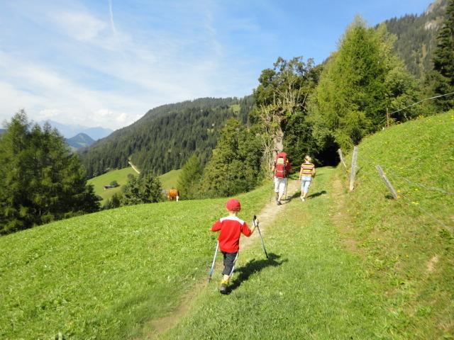 Hanslerfeld Alpbach Camera foto