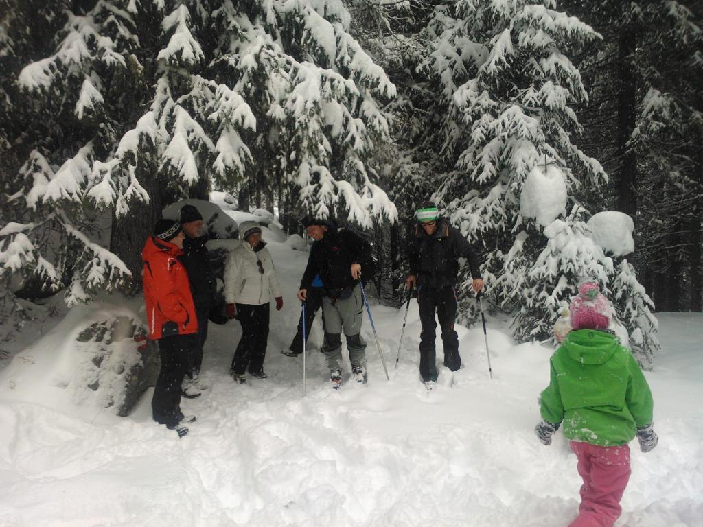 Hanslerfeld Alpbach Esterno foto