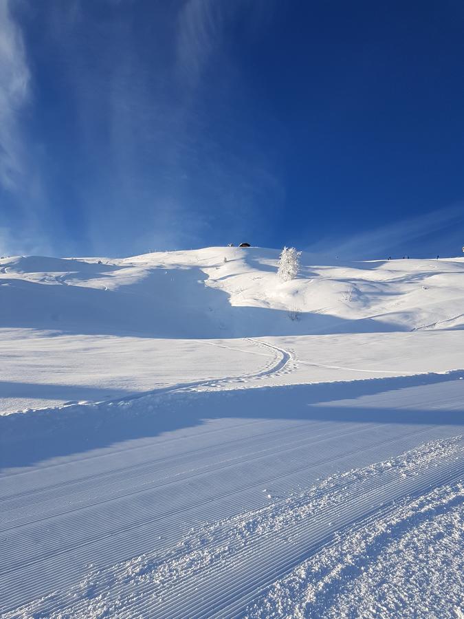 Hanslerfeld Alpbach Esterno foto