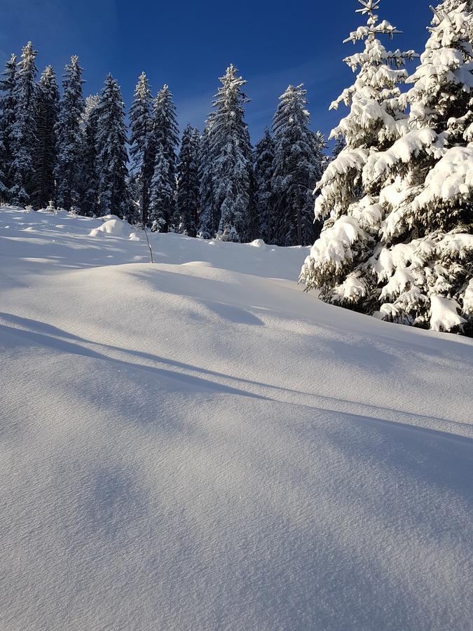 Hanslerfeld Alpbach Esterno foto