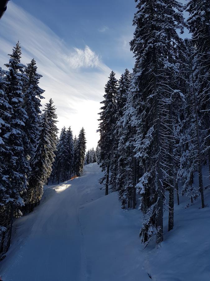 Hanslerfeld Alpbach Esterno foto