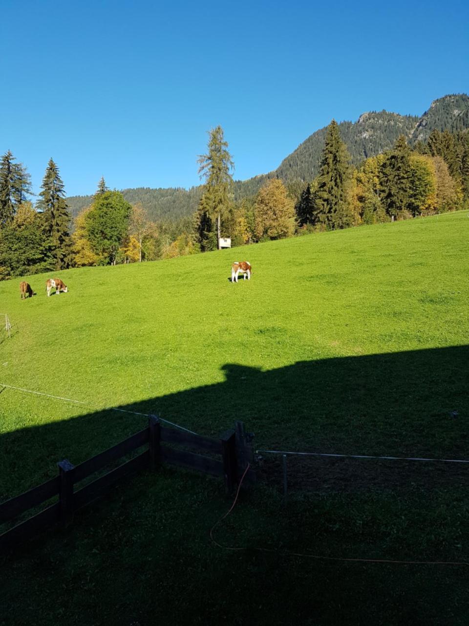 Hanslerfeld Alpbach Esterno foto